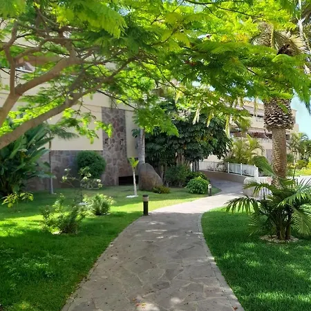Vista Asomada
